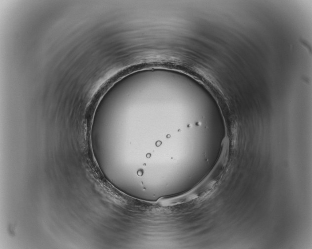 X0000102291021200808011508