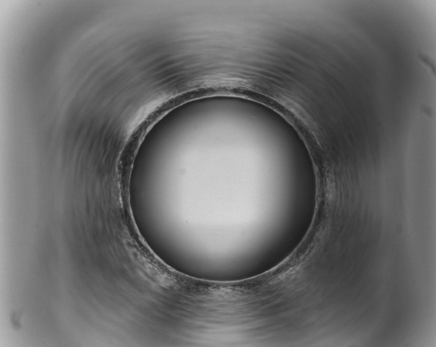 X0000102291022200808011508