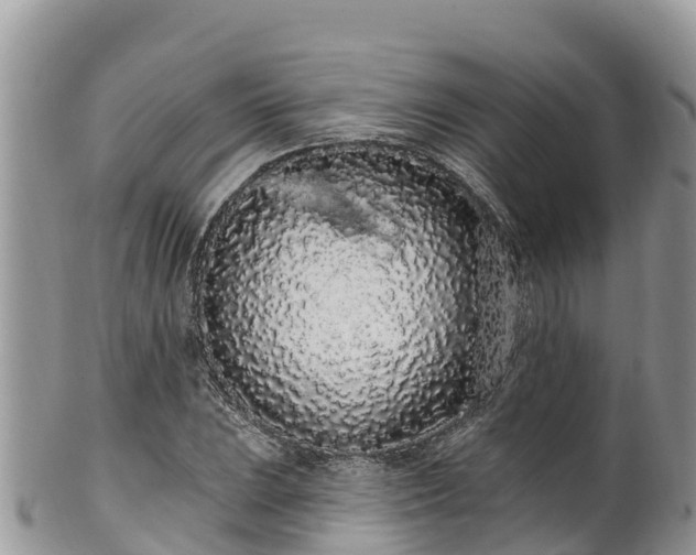 X0000102291023200808011508