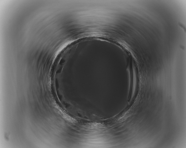 X0000102291024200808011508