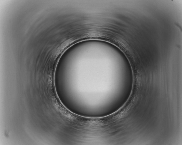 X0000102291025200808011508