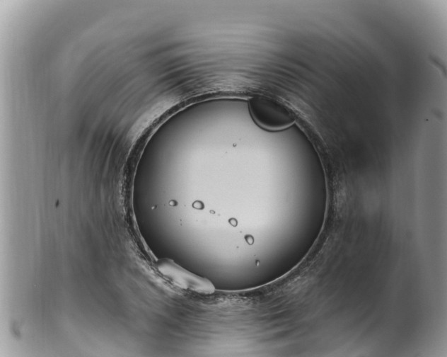 X0000102291026200808011508