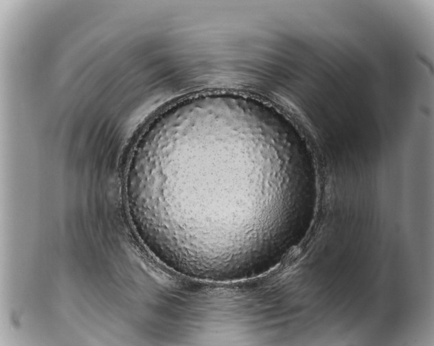 X0000102291027200808011508