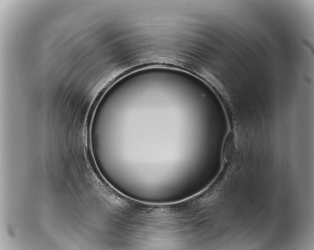 X0000102291028200808011508