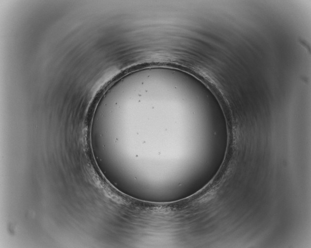 X0000102291029200808011508