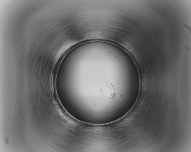 X0000102291030200808011508