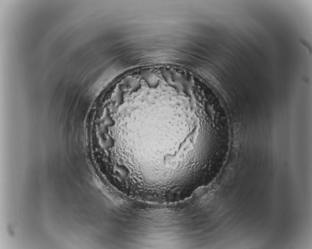 X0000102291031200808011508