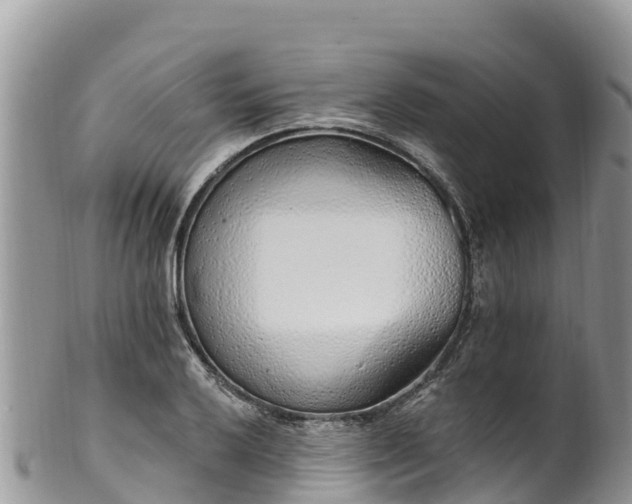 X0000102291032200808011508