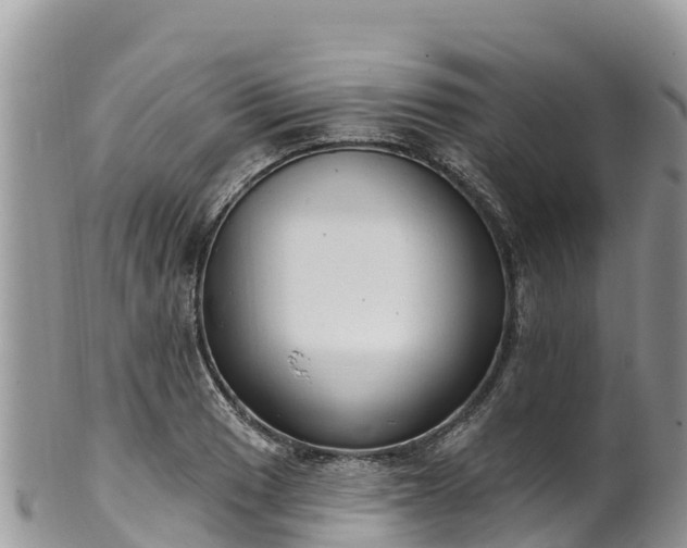 X0000102291033200808011508