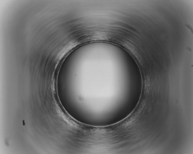 X0000102291034200808011508