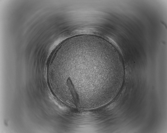 X0000102291035200808011508