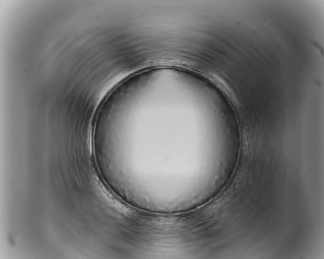 X0000102291036200808011508