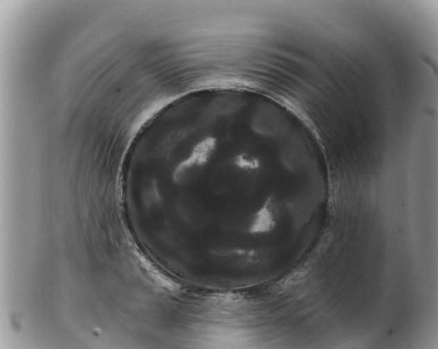 X0000102291037200808011508