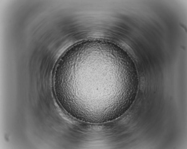 X0000102291039200808011508