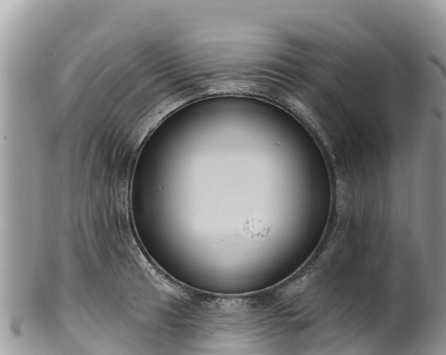 X0000102291041200808011508