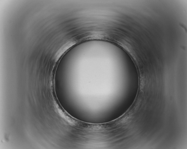 X0000102291042200808011508