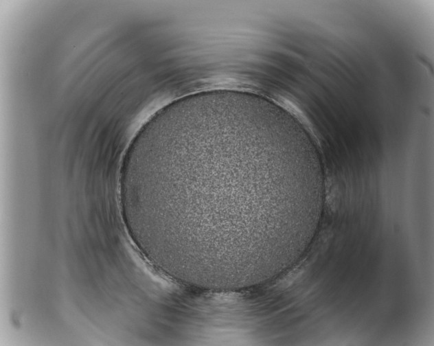 X0000102291043200808011508