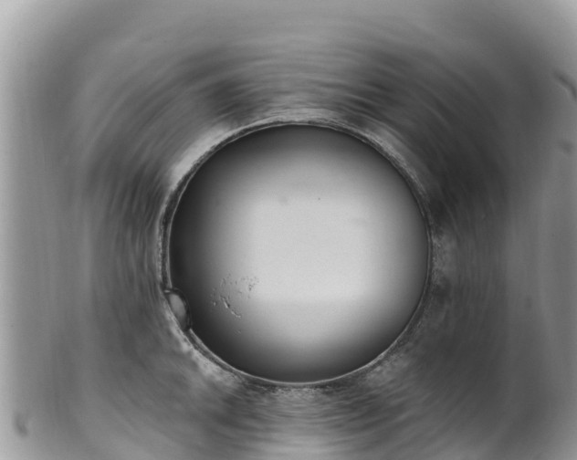 X0000102291046200808011508