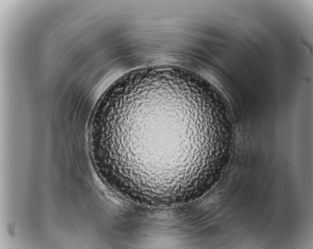 X0000102291047200808011508