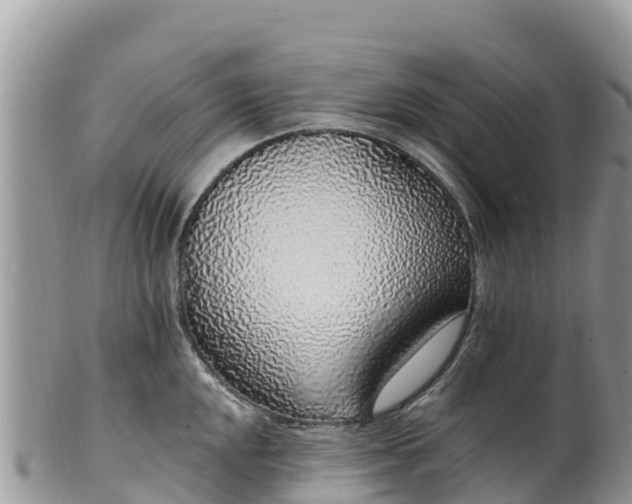 X0000102291048200808011508