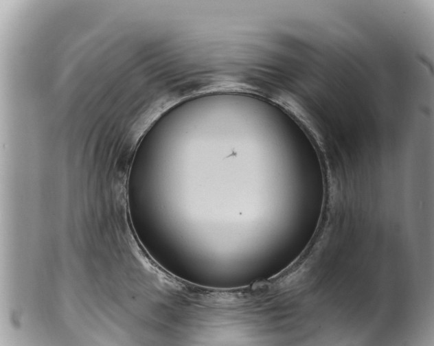 X0000102291049200808011508