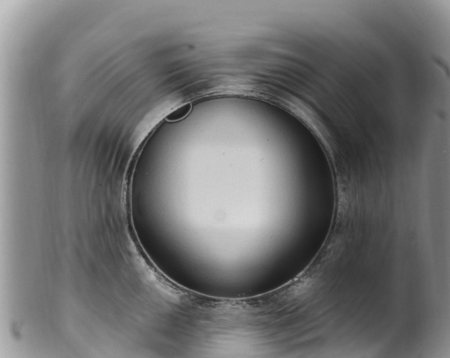 X0000102291050200808011508