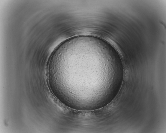 X0000102291051200808011508