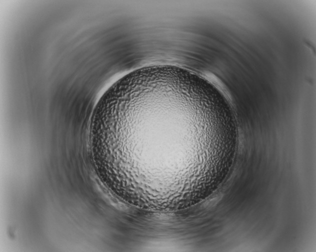 X0000102291052200808011508