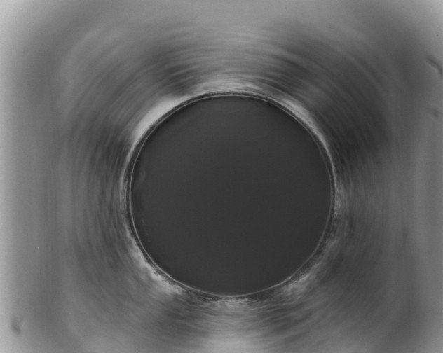 X0000102291053200808011508