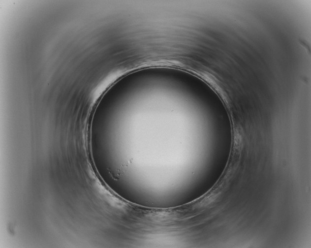 X0000102291054200808011509