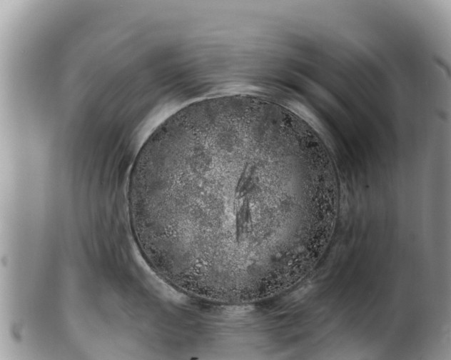 X0000102291055200808011509