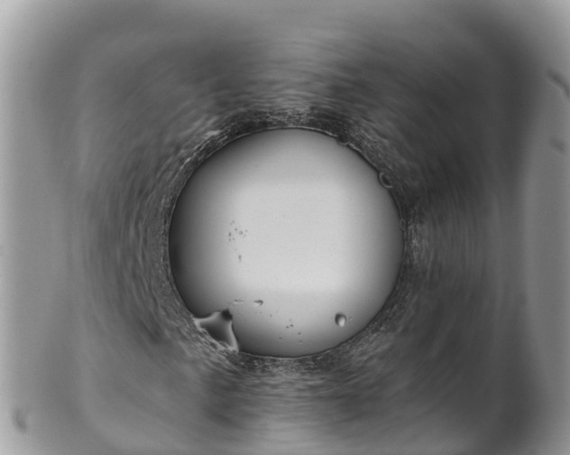 X0000102291057200808011508