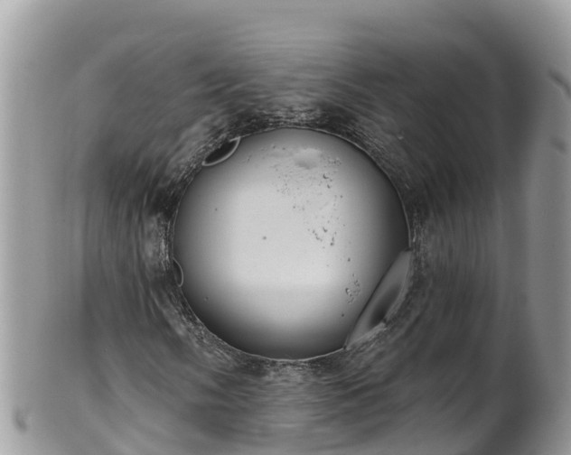 X0000102291058200808011508