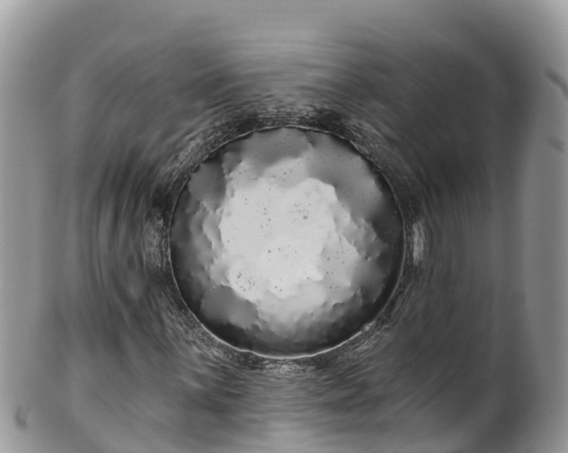 X0000102291059200808011508