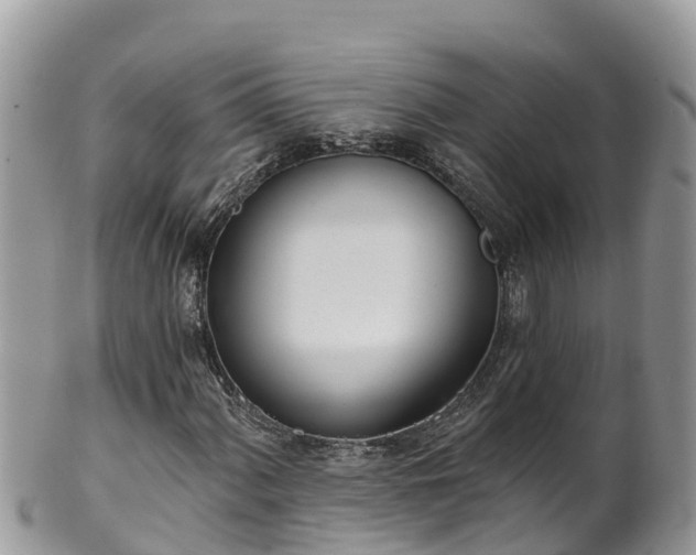 X0000102291060200808011508