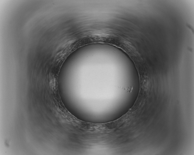 X0000102291061200808011508