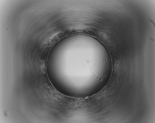 X0000102291062200808011508