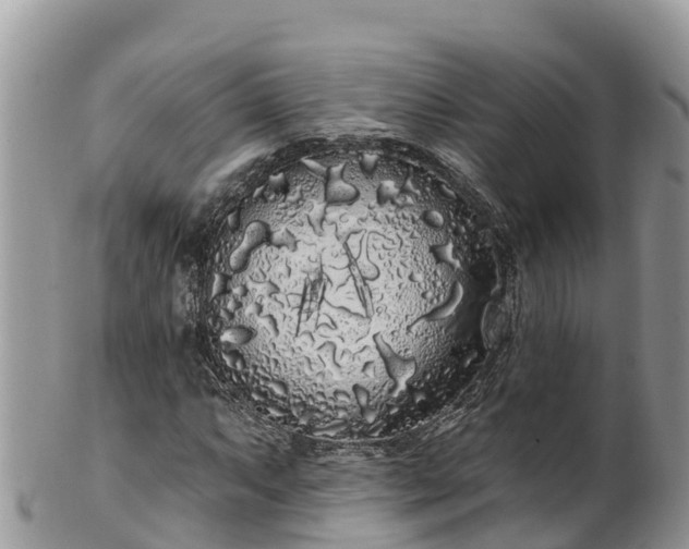 X0000102291063200808011508