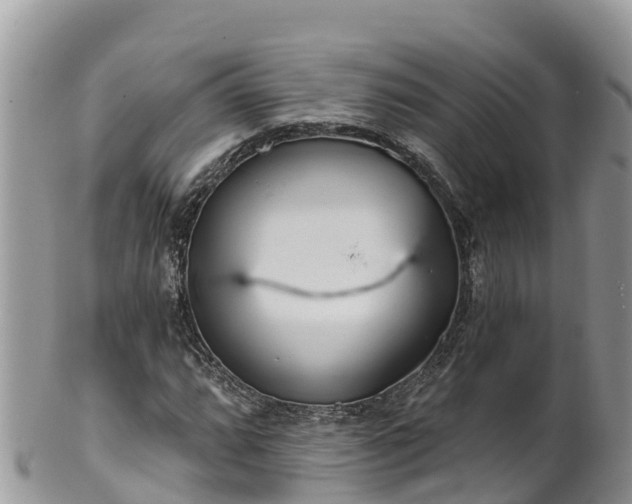 X0000102291064200808011508