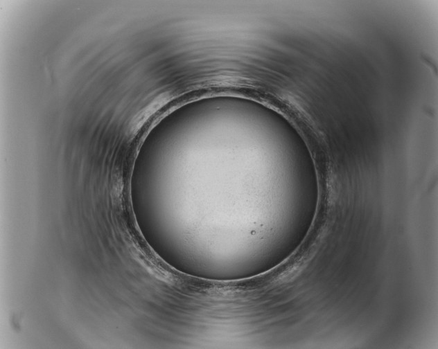 X0000102291065200808011508