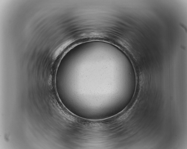 X0000102291066200808011508