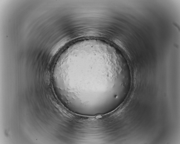 X0000102291067200808011508