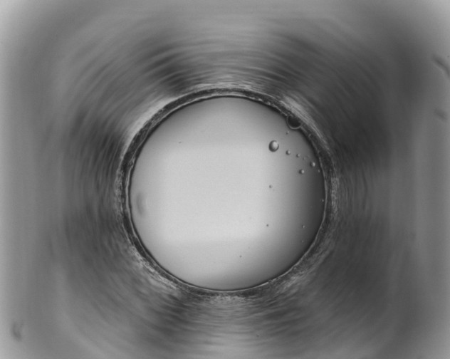 X0000102291068200808011508