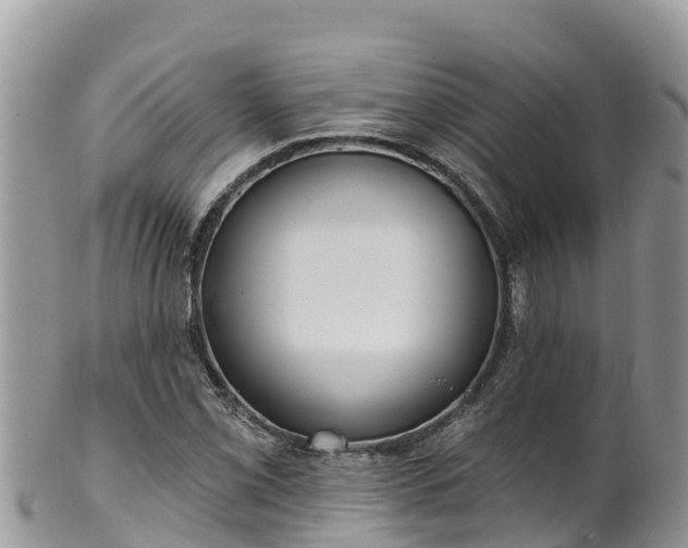 X0000102291069200808011508