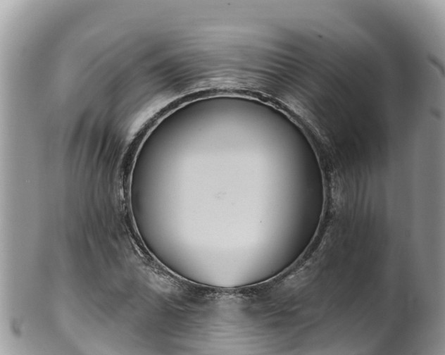 X0000102291070200808011508