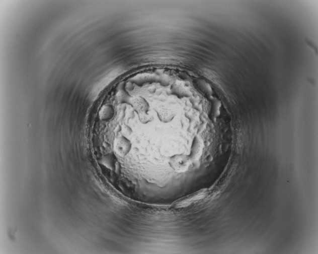 X0000102291071200808011508