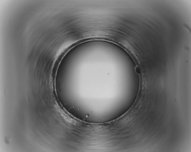 X0000102291072200808011508