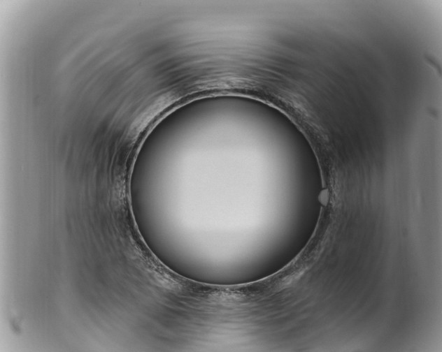 X0000102291073200808011508