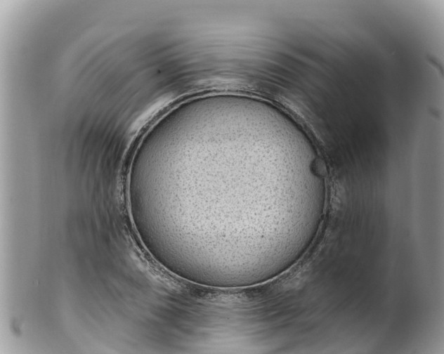 X0000102291074200808011508