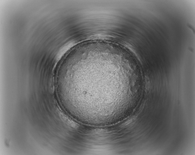 X0000102291075200808011508